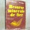 Resurse minerale de fier - R. Filipovici