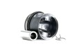 Mahle Piston