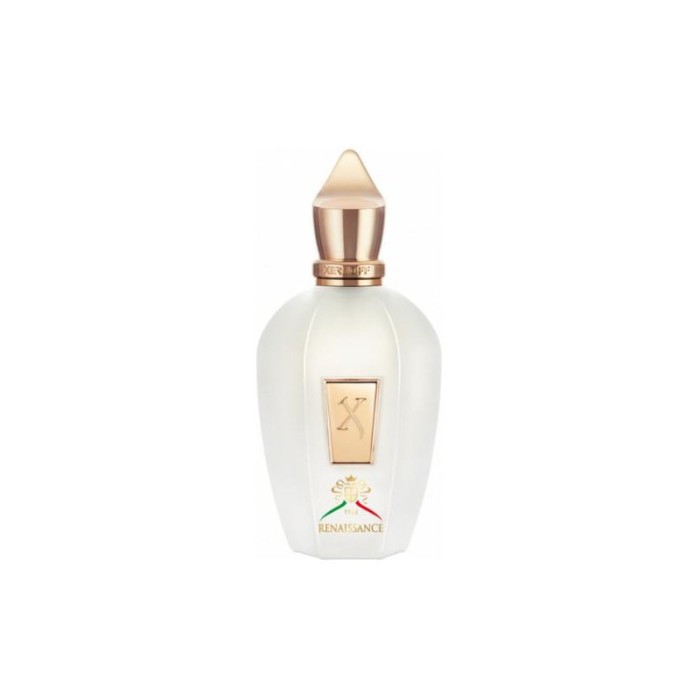 Xerjoff Renaissance Apa de parfum unisex Tester EDP 100 ml