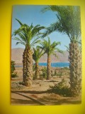 HOPCT 6108 EILAT SI MUNTELE EDOM -ISRAEL-ASIA -NECIRCULATA, Printata