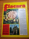 Flacara 20 septembrie 1975-ceausescu vizita la craiova,cobadin,cart. pantelimon