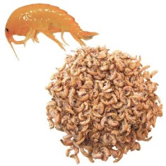 Creve?i gammarus deshidrata?i 1000ml foto