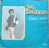 Disc Vinil Ion Dolănescu - Pe Drumul Căruțelor - Electrecord Cat. ST-EPE 01520