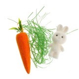 Set decorativ iepuras cu morcov