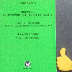 Dreptul de proprietate intelectuala Dreptul de autor Florin Ciutacu