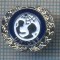 AX 563 INSIGNA UNICEF-FONDUL INTERNATIONAL DE URGENTE ALE COPIILOR AL NATIUNILOR