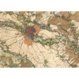 Harta Romaniei Meridionale &ndash; Bucuresti si Ilfov, 1864, 50x70cm, reproducere