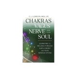 Chakras, the Vagus Nerve, and Your Soul: Journeying to Wellness Through Subtle Energy and Your Nervous System