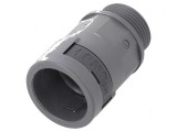 Conectori finali drepţi Filet PG exterior poliamidă 6 gri