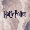 Husa Personalizata ALLVIEW P41 eMagic Harry Potter
