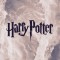 Husa Personalizata HUAWEI P Smart Plus Harry Potter
