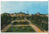 CPIB 18027 CARTE POSTALA - SATU MARE. PIATA LIBERTATII, RPR, Circulata, Fotografie