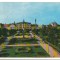 CPIB 18027 CARTE POSTALA - SATU MARE. PIATA LIBERTATII, RPR