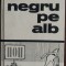MINIALBUM CONSTANTIN CIOSU: NEGRU PE ALB (pref.RADU NEGRU/1975/10 pagini patate)