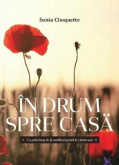 In drum spre casa/Sonia Choquette foto