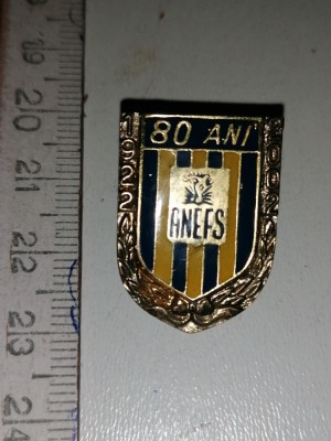 RARA - INSIGNA ANEFS - 80 ANI foto