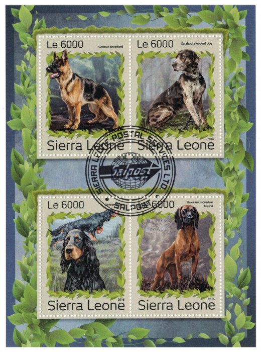 SIERRA LEONE 2016 - Fauna, Caini/ colita noua