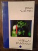 UN REGAT IMAGINAR- STEFAN BANULESCU