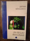 UN REGAT IMAGINAR- STEFAN BANULESCU