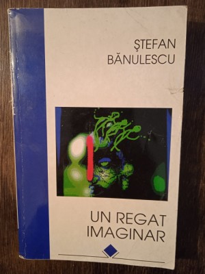 UN REGAT IMAGINAR- STEFAN BANULESCU foto