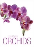 Orchids | Fabio Petroni, Natalia Fedeli