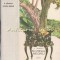 Scrinul Negru - George Calinescu