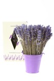 Cumpara ieftin Aranjament floral - Galetusa cu lavanda, mov | Fleurane