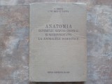 ANATOMIA SISTEMULUI NERVOS CENTRAL SI NEUROVEGETATIV LA ANIMALELE DOMESTICE de V. GHETIE , I. TH. RIGA SI E. PASTEA , 1956
