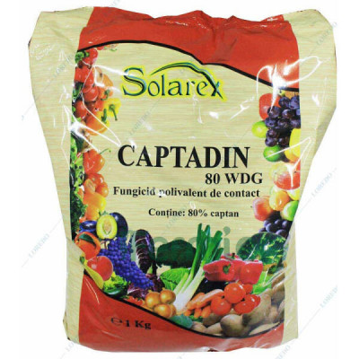 Captadin 80WDG 1 kg fungicid de contact Solarex/Adama (castraveti, fasole, pomi, tomate) foto