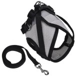 Ham Gri Negru cu Lesa pentru Caini, 118 x 1.5 cm, Marimea S, Oem