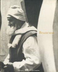 Constantin Brancusi 1876-1957. Album Gallimard, Centre Georges Pompidou (1995) foto