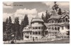 CPIB 21813 - CARTE POSTALA - BORSEC. CASE DE ODIHNA, NECIRCULATA, RPR, Fotografie