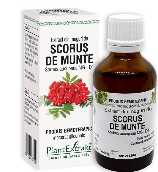 EXTRACT DIN MUGURI DE SCORUS DE MUNTE 50ML