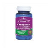 Cretisoara Lady&rsquo;s Mantle 60 capsule Herbagetica
