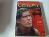 Grey owl, dvd