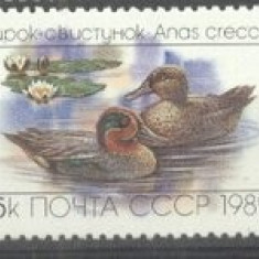 Russia USSR 1989 Birds, Ducks, strip, MNH M.281