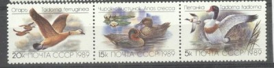 Russia USSR 1989 Birds, Ducks, strip, MNH M.281 foto
