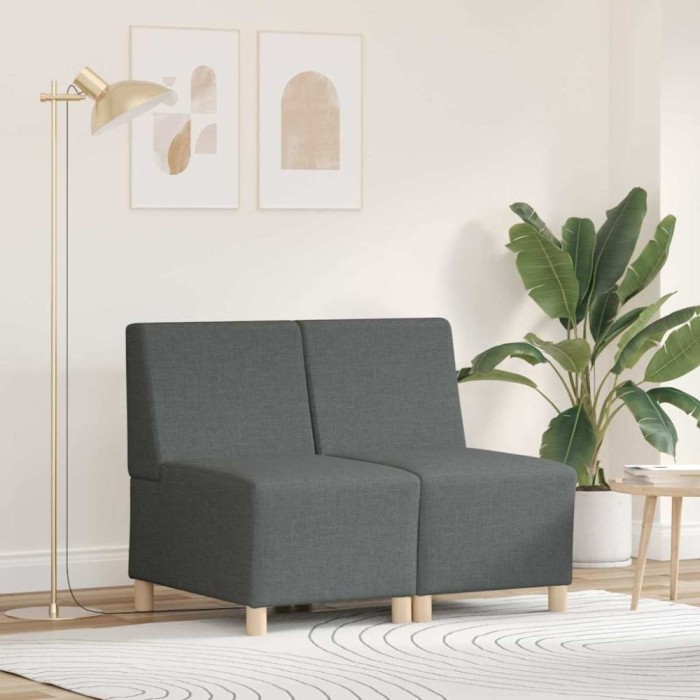 vidaXL Unitate Sofa Modulară Fără Brațe 2 pcs Gri &icirc;nchis