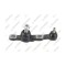 Pivot brat suspensie Lexus Gs ( S19) 01.05-12.12, Is C (Gse2) 04.09-, Is 2 ( E2) 08.05-04.13, Is 3 ( E3) 04.13-, Fata, Stanga, TEKNOROT
