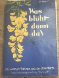 CRT12DE Determinator Plante Vechi Germana / Vintage Botany Book German - Alois Kosch Was blueht denn da Stuttgart Colectie Retro