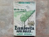 DAMBOVITA APA DULCE , ROMAN , EDITIA A IV - A de DAMIAN STANOIU , 1944