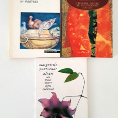 Marguerite Yourcenar 3 volume / Alexis / Memoriile lui Hadrian / Creierul negru