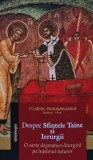 Cumpara ieftin Despre Sfintele Taine si Ierurgii - 2019 - Calinic Botosaneanul (@D270)