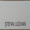 Stefan Luchian - Jacques Lassaigne// 1994