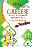 Culegere de exercitii si probleme pentru concursul Gazeta Matematica Junior - clasa a III-a si clasa a IV-a - Didactica Publishing House