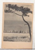 bnk cp Constanta - Faleza - circulata 1958