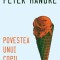 Povestea unui copil &ndash; Peter Handke