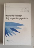 Vasile Dobrinoiu - Probleme de drept din jurisprudenta penala