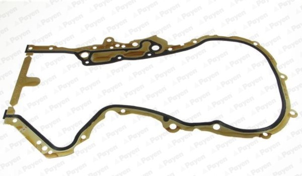 PAYEN JR5048 Garnitura, distributie