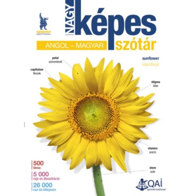 Nagy k&amp;eacute;pes angol-magyar sz&amp;oacute;t&amp;aacute;r foto